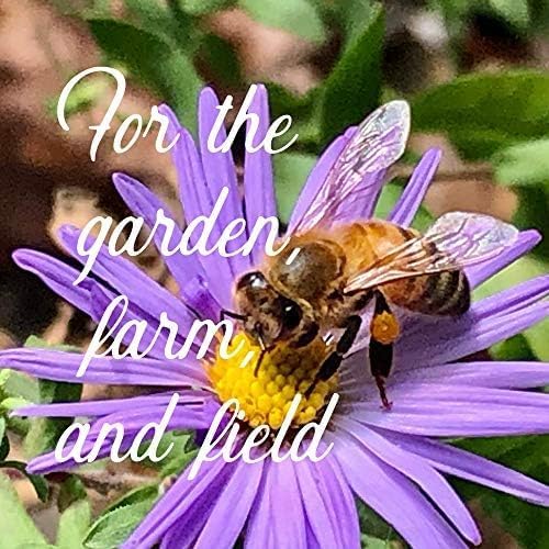 Mountain Valley Seed Co Pacific Northwest Wildflower Seed Planting - 4 Oz - Image 5