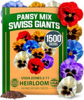 HOME GROWN Pansy Swiss Giants Mix Seeds, 1,500 Seeds, Viola × wittrockiana by HOMEGROWN