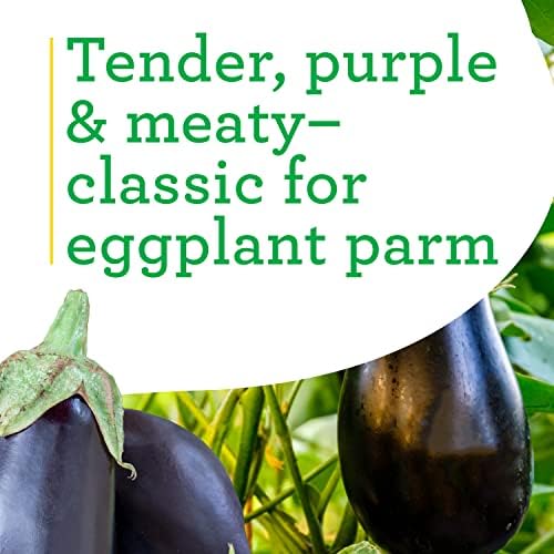 Bonnie Plants Black Beauty Eggplant - 4 Pack Live Plants, 3 - 4 Ft. Tall Plants, Classic Tear Drop Shape Eggplant, Easy To Grow - Image 4