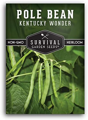 Kentucky Wonder Pole Bean Seeds for Planting (1 Pack) by SurvivalGardenSeeds