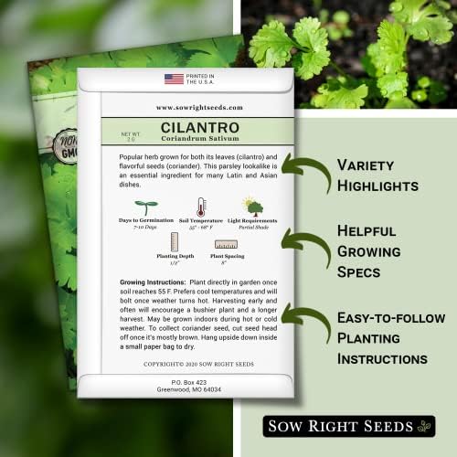 Sow Right Seeds - Cilantro Seed for Planting Outdoors Coriander Herbs - Image 2