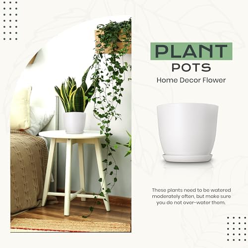 Plant Pots Indoor with Drainage, 10 Pack Multi-Size Planters Set, White - Image 4