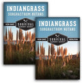Indiangrass Seeds for Planting, Sorghastrum nutans - 2 Packs by SurvivalGardenSeeds