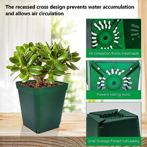 RooTrimmer Square Seedling Nursery Pots 3.15 Inches 100 Pcs for Small Succulents or Cacti Flower Plastic Pots Sturdy Reusable (Green, 3.14Inches,100Pcs) - Image 4