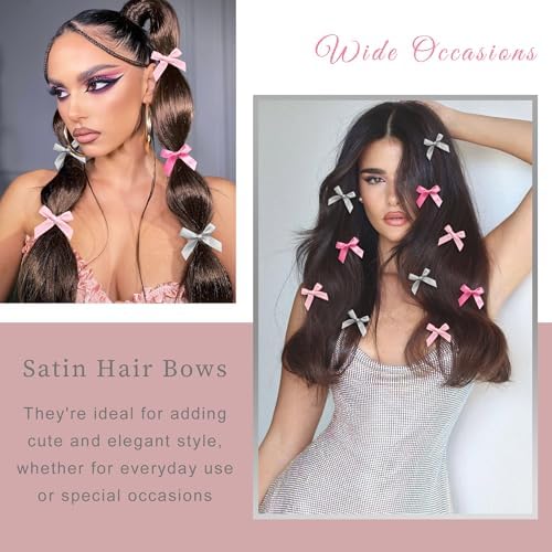 30PCS Small Hair Bows Silver Mini Bow Clips Satin Pink Hair Accessories Coquette Bow for Girls Women - Image 2