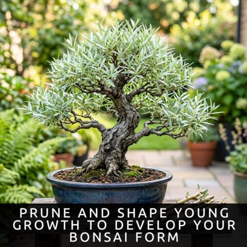 Dwarf White Willow Bonsai Cutting – Live Unrooted Cutting for Growing - Image 6