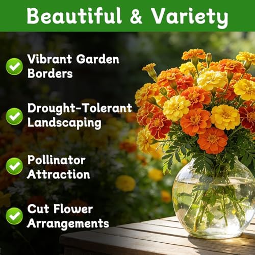 LUOJIBIE French Marigold Seeds for Planting Outdoors, Giant Marigold Flowers Seeds Bulk for 2026, Over 8,500+ Seeds Prolific Blooms, Ideal for Vibrant Pollinator Gardens - Image 2