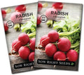 Sow Right Seeds- Champion Radish Seed for Planting Outdoor Red Radishes 2pk by SowRightSeeds
