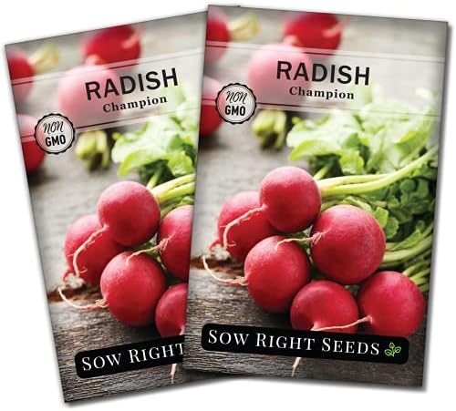 Sow Right Seeds- Champion Radish Seed for Planting Outdoor Red Radishes 2pk by SowRightSeeds