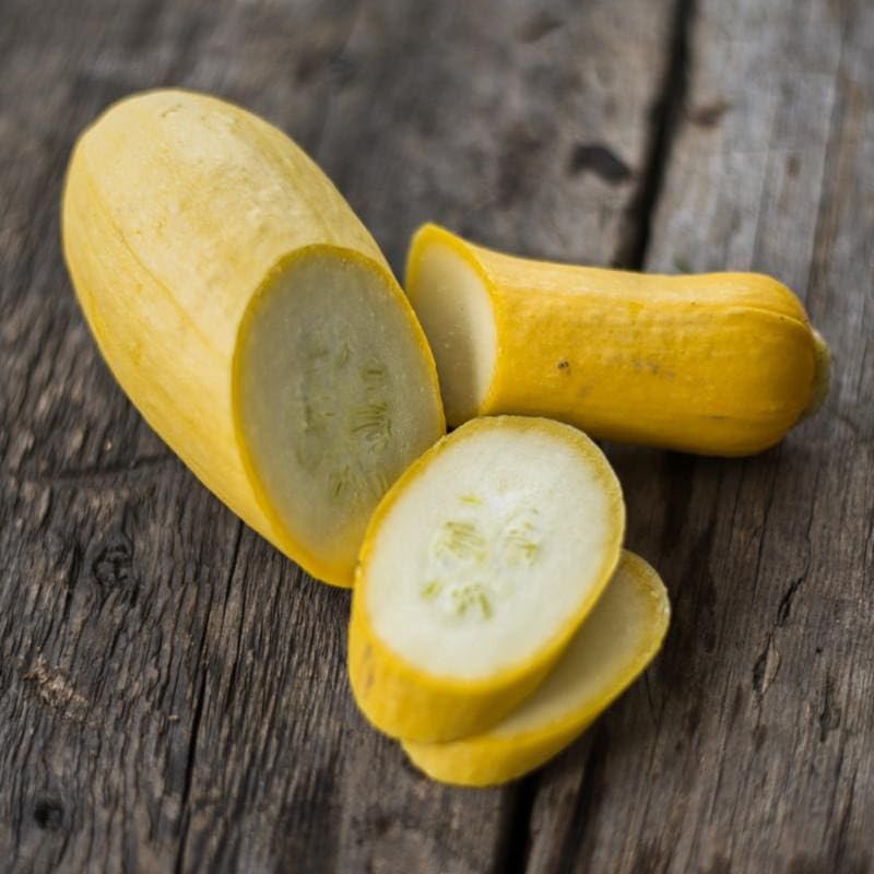 Yellow Straightneck Squash Seeds - 1 Pound ~ 5000+ Count - for 2026 Planting Straight Neck Golden Courgette Crookneck Zucchini Vegetable Fresh Grow Your Own Home Farm Patio Healthy - Image 2
