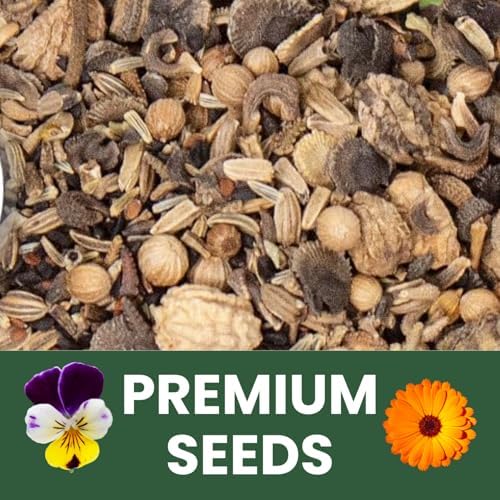 Gourmet Edible Mix – 1,000 Premium Seeds for Planting – Fresh Culinary Flowers & Herbs – 2026 Season – 5 Gram Pouch - Image 5