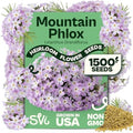 SVI 1500 Mountain Phlox Seeds (Linanthus grandiflorus) – Ground Cover Phlox Seed Packets Bulk, Sweet Fragrance Flower Garden – Heirloom Annual Purple Flower Seeds for Outdoor Garden, Containers by SVI