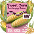 SVI 125 Peaches and Cream Corn Seeds (Zea mays) – Peaches & Cream Super Sweet Corn Seed Packets, Bicolor Sweet Yellow – Non GMO Heirloom Vegetable Seeds Outdoor Vegetable Garden Seed, Home Garden by SVI