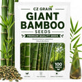 Giant Bamboo Seeds for Planting | 100 Seeds | Tall Bamboo by CZGrain