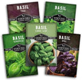 Basil Seeds 5 Variety Collection - Survival Garden Seeds by SurvivalGardenSeeds