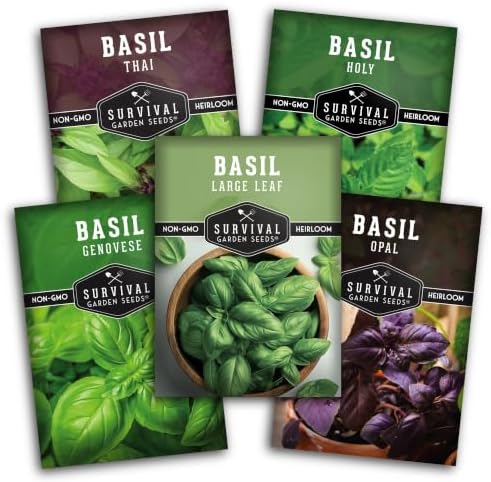 Basil Seeds 5 Variety Collection - Survival Garden Seeds by SurvivalGardenSeeds