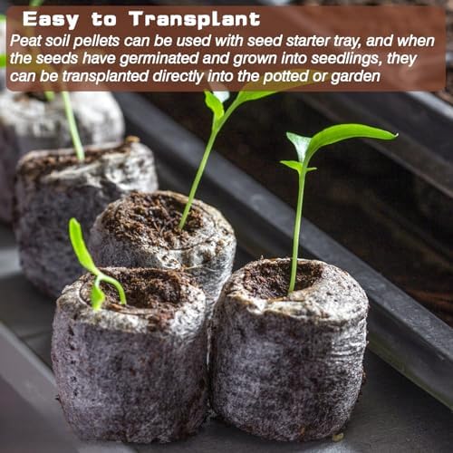 ZeeDix 55Pcs 36mm Organic Seed Starter Peat Pellets - Image 6