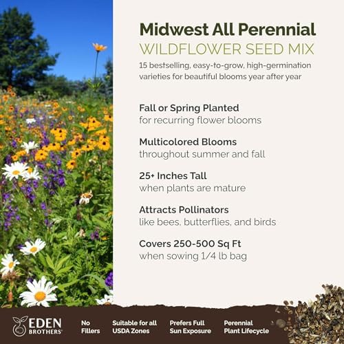 Eden Brothers Midwest All Perennial Wildflower Mixed Seeds, 1/4 lb - Image 2