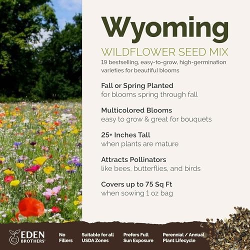 Eden Brothers Wyoming Wildflower Mixed Seeds for Planting, 1 oz - Image 2