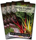 Sow Right Seeds - Rainbow Swiss Chard Seed for Planting a Home Garden 3pk by SowRightSeeds