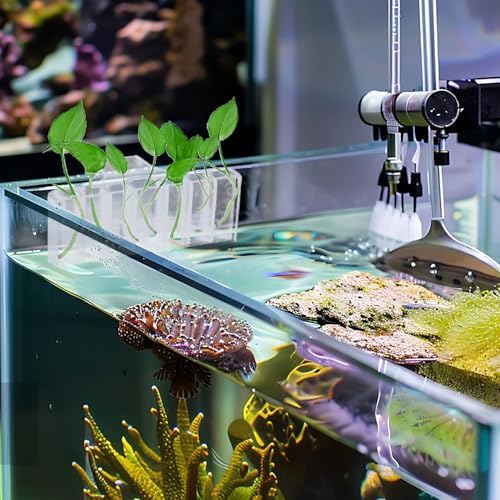 2PC 7 Holes Aquarium Plant Holder, Hanging Aquatic Plant Cup with Long Hook - Image 2