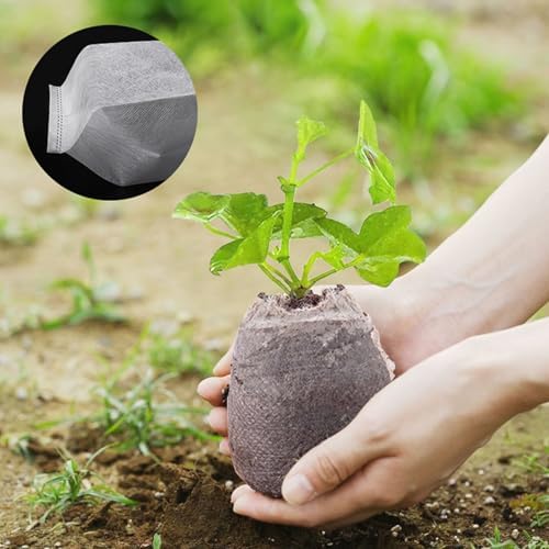 Plants Nursery Bags Non-Woven Seedling Grow Bags, 300 Pcs, 20*20cm - Image 4