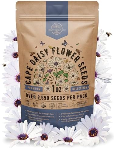 Cape Daisy Flower Seeds Pack 1 oz - Over 2,550 Non-GMO Heirloom Cape Daisy Seeds for Planting, Perennial Flowers in Individual Seed Packet, Seed for Planting Home Garden Indoor & Outdoor Gardening by OrganoRepublic
