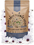Cape Daisy Flower Seeds Pack 1 oz - Over 2,550 Non-GMO Heirloom Cape Daisy Seeds for Planting, Perennial Flowers in Individual Seed Packet, Seed for Planting Home Garden Indoor & Outdoor Gardening by OrganoRepublic