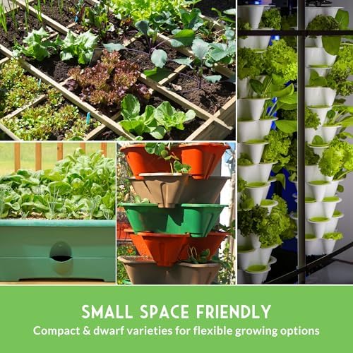 Tower Garden Seeds 15 Variety Collection for Planting - Image 5