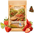 Strawberry Seeds for Planting Outdoor, Heirloom Seed, High Germination, Red by Unknown