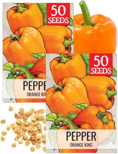 Seed Needs Orange King Bell Pepper Seeds to Plant Vegetables - 2 Packs by SeedNeeds