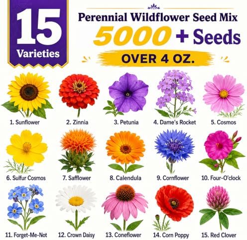 5,000+ Wildflower Seeds Bulk Mix - 15 Varieties California Wildflower Seeds for Hummingbirds, Butterflies-Perennial & Annual Seed -, & Cut Flowers - for Outdoors Pollinator Garden - Image 2