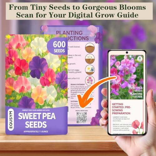 600+ Sweet Pea Seeds, Fragrant Flowering Vines for Trellis & Garden Beds - Image 3