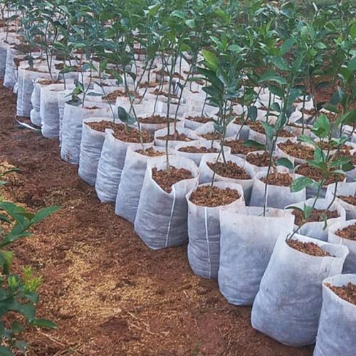 Plants Nursery Bags Non-Woven Seedling Grow Bags, 200 Pcs, 16*20cm - Image 7