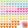 100 Pieces Assorted Color Butterfly Hair Clips, Beautiful Mini Butterfly Hair Clips Hair Accessories for Women and Girls (Jelly color) by Ruocce