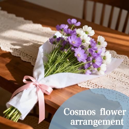Cosmos Flower Seeds to Plant Outside, 500 Annual Flower Seeds, Easy Grow - Image 6