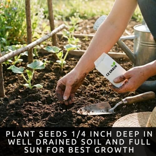 Red Cayenne Pepper Seeds for Planting | Hot Chili Peppers | 100 Seeds - Image 6