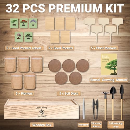 Bonsai Tree Starter Kit for Beginners 5 Unique Indoor Plants - Image 5