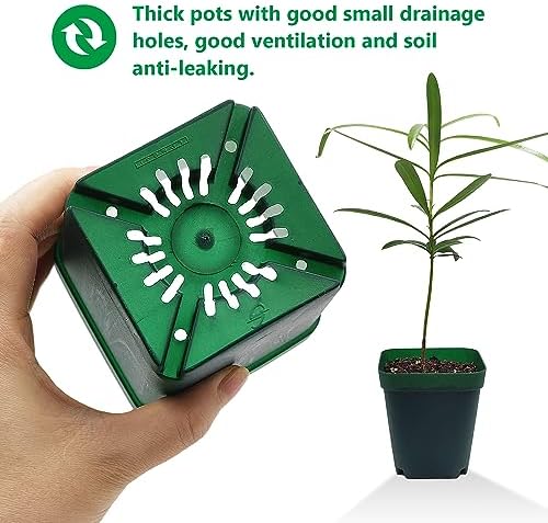 RooTrimmer Square Seedling Nursery Pots 3.15 Inches 100 Pcs for Small Succulents or Cacti Flower Plastic Pots Sturdy Reusable (Green, 3.14Inches,100Pcs) - Image 5