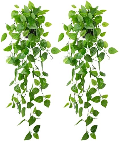LOYWREE 2 Pack Small Artificial Hanging Plants with Faux Ivy Vine and Hanging Pothos 39Inch Fake Plant Realistic Greenery for Shelf Decor in Home, Office, Indoor & Outdoor Gardens by Unknown
