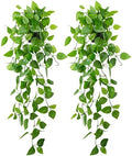LOYWREE 2 Pack Small Artificial Hanging Plants with Faux Ivy Vine and Hanging Pothos 39Inch Fake Plant Realistic Greenery for Shelf Decor in Home, Office, Indoor & Outdoor Gardens by Unknown