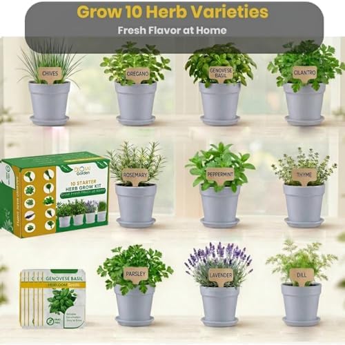 47 PCS Herb Garden Seeds Starter Kit, 10 Non-GMO Culinary Herb Seeds with White Pots & Planters for Windowsill, Herb Growing Kit Indoor & Outdoor, Unique Herb Garden Gift Set for Gardening Lovers - Image 2