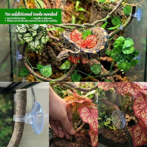 5 Pc Reptile Plants & Habitat Decor Kit - 3 Artificial Plants & Large 3.3ft Jungle Vine Branch, Amphibian Habitat Hideout Decor Accessories for Crested Gecko, Bearded Dragon, Lizard, Snake,Hermit Crab - Image 6