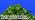 Gooseberry Plant Live, Outdoor Berry Plant, 5-9 Inch Tall - Image 7