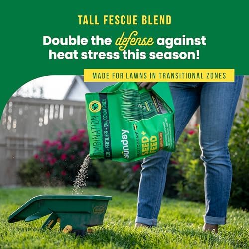 Sunday Heat Tolerant Seed + Feed - 3-in-1 Grass Seed, Fertilizer, & Soil Conditioner - Strengthens Lawns Against Heat & Drought - Covers 1,500 sq. ft. - 10lbs (Pack of 3) - Image 2