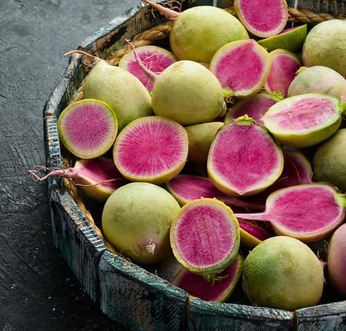 625+ Watermelon Radish Seeds for Planting - Heirloom Non-GMO - Image 5