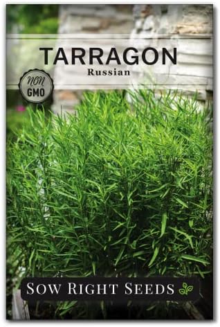 Sow Right Seeds - Russian Tarragon Seed for Planting Perennial Herb Garden by SowRightSeeds