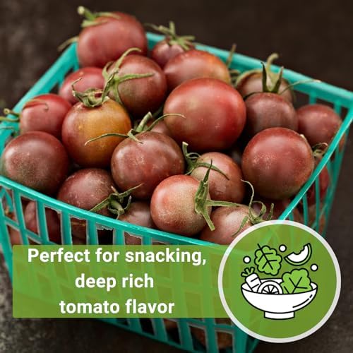 Sow Right Seeds - Black Cherry Tomato Seed for Planting Garden Tomatoes 2pk - Image 5