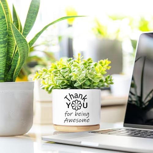 Thank You Gifts for Women, Succulent Planter, Flower Cactus Plant Pot, Employee Appreciation Gifts for Coworkers Nurse Friends Women, Thank You for Being Awesome (No Plants) - Image 2