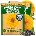 HOME GROWN Dwarf Sunflower Seeds, Teddy Bear, 200 Seeds, Helianthus annuus by HOMEGROWN
